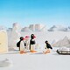 photo du film Pingu