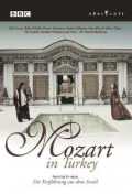 voir la fiche complète du film : Mozart in Turkey