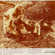 photo du film Bonnie et Clyde