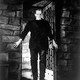 photo du film Frankenstein