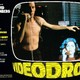 photo du film Videodrome