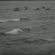 photo du film Nanouk l'Esquimau