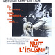 photo du film La Nuit de l'iguane