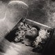 photo du film Vampyr ou l'étrange aventure de David Gray