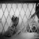 photo du film Vampyr ou l'étrange aventure de David Gray