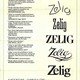 photo du film Zelig