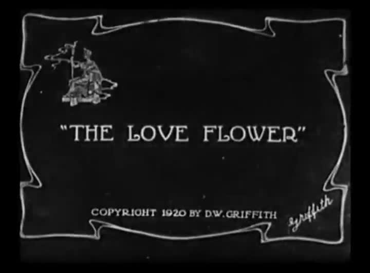 Extrait vidéo du film  La fleur d amour