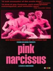 Pink Narcissus