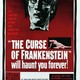 photo du film Frankenstein s'est échappé