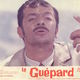 photo du film Le Guépard