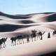 photo du film Un Thé au Sahara