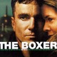 photo du film The Boxer