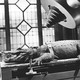 photo du film The Alligator People