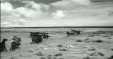 Un extrait du film  La Chevauchée fantastique