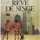 photo du film Rêve de singe