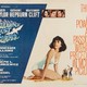 photo du film Soudain l'été dernier