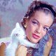 photo du film Boccace 70