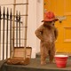 photo du film Paddington 2