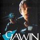 photo du film Gawin