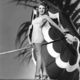 photo de Evelyn Ankers