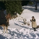 photo du film Le Grand silence