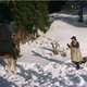 photo du film Le Grand silence