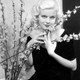 photo de Jean Harlow