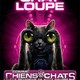 photo du film Comme chiens et chats : La revanche de Kitty Galore (3D)