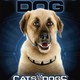 photo du film Comme chiens et chats : La revanche de Kitty Galore (3D)