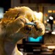 photo du film Comme chiens et chats : La revanche de Kitty Galore (3D)