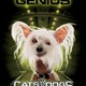photo du film Comme chiens et chats : La revanche de Kitty Galore (3D)