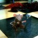 photo du film Stuart Little