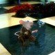 photo du film Stuart Little