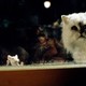 photo du film Stuart Little