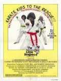 voir la fiche complète du film : The Little dragons