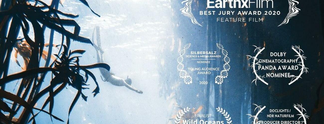 La Sagesse De La Pieuvre Dvd Sorties cinéma, actualités cinéma, base de données cinéma