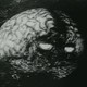 photo du film Le Cerveau de la planète Arous