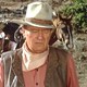 photo du film Big Jake