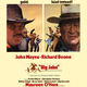 photo du film Big Jake