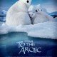 photo du film Arctique