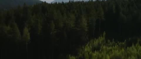 Un extrait du film  Twilight - Chapitre 5 : Révélation, partie 2