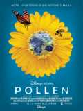 voir la fiche complète du film : Pollen