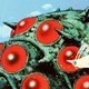 photo du film Nausicaä de la vallée du vent