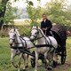 photo du film Pan Tadeusz - Quand Napoléon traversait le Niémen