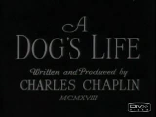 Extrait vidéo du film  Une Vie de chien