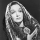 Voir les photos de Gail Patrick sur bdfci.info