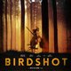 photo du film Birdshot