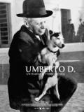 voir la fiche complète du film : Umberto D.