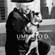 photo du film Umberto D.