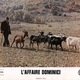 photo du film L'Affaire Dominici
